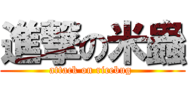進撃の米蟲 (attack on ricebug )