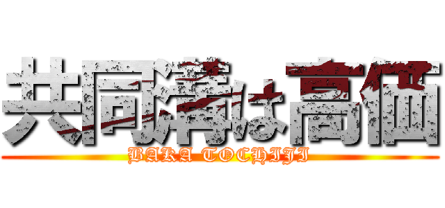 共同溝は高価 (BAKA TOCHIJI)