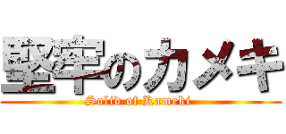 堅牢のカメキ (Solid of Kameki )