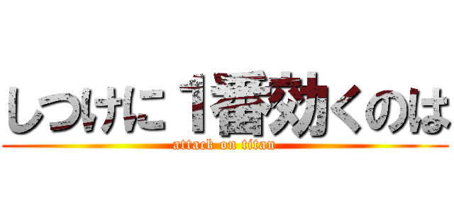 しつけに１番効くのは (attack on titan)