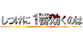 しつけに１番効くのは (attack on titan)