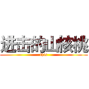 进击的山核桃 (this)