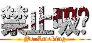 禁止吸菸 (No Smoking)