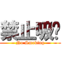 禁止吸菸 (No Smoking)