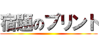 宿題のプリント ()