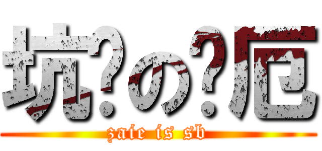 坑爹の灾厄 (zaie is sb)