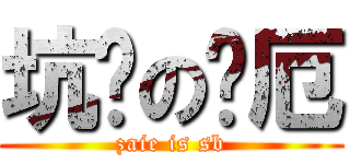 坑爹の灾厄 (zaie is sb)