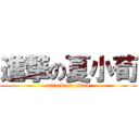 進撃の夏小荀 (attack on titan)