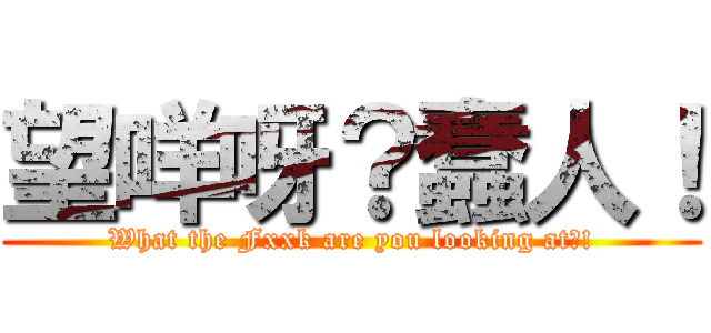 望咩呀？蠢人！ (What the Fxxk are you looking at?!)
