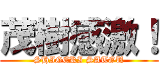 茂樹感激！ (SHIGEKI SATOU)