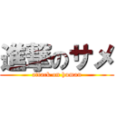 進撃のサメ (attack on human)