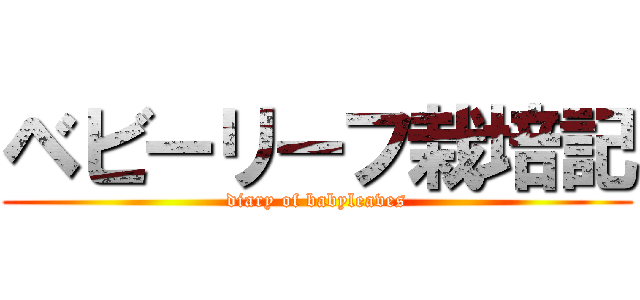 ベビーリーフ栽培記 (diary of babyleaves)