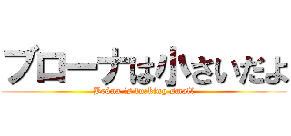 ブローナは小さいだよ (Bróna is fucking small)