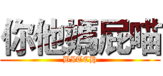 你他媽屁喵 (BITCH)