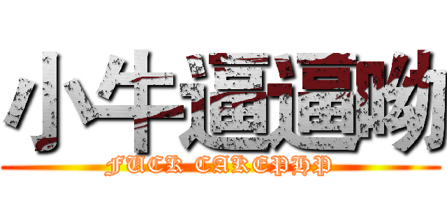 小牛逼逼呦 (FUCK CAKEPHP)