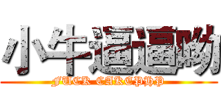 小牛逼逼呦 (FUCK CAKEPHP)