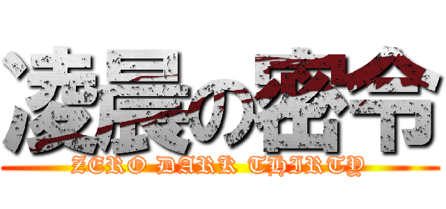 凌晨の密令 (ZERO DARK THIRTY)