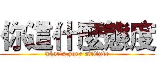 你這什麼態度 (what's your attitude)
