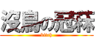 沒鳥の冠菻 (bitch)