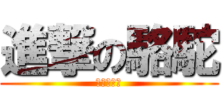 進撃の駱駝 (進撃の駱駝)