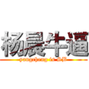 杨晨牛逼 (yangcheng is SB)