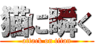 猫に瞬く (attack on titan)