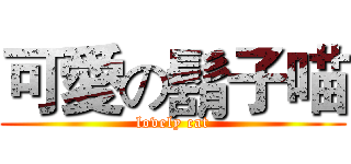 可愛の鬍子喵 (lovely cat)