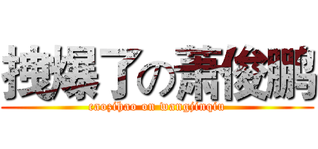 拽爆了の萧俊鹏 (caozihao on wangjinqiu)
