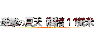 進擊の夏天（酒糟１１號米） (attack on titan)