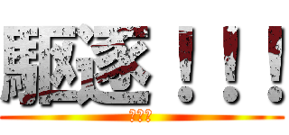 駆逐！！！ (くちく)