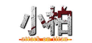 小柏 (attack on titan)