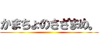 かまちょのさざまめ。 ()