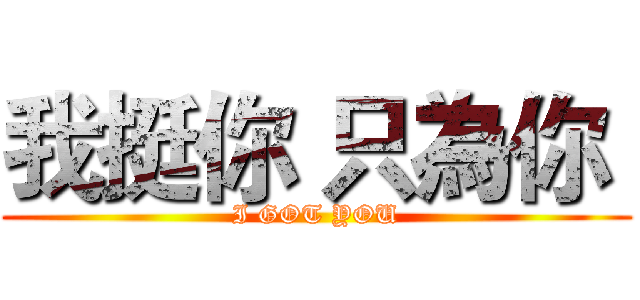 我挺你 只為你  (I GOT YOU)