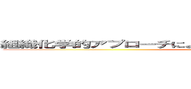 組織化学的アプローチによるマウス鋤鼻受容体の脱孤児化 ()