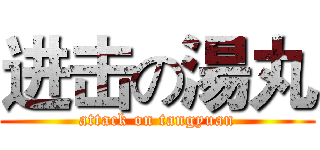 进击の湯丸 (attack on tangyuan)