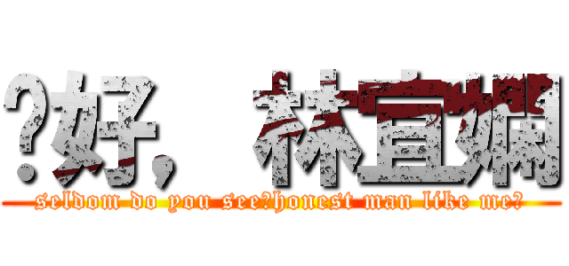 妳好，林宜嫻 (seldom do you see，honest man like me?)