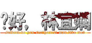 妳好，林宜嫻 (seldom do you see，honest man like me?)
