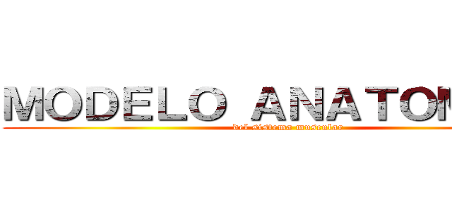 ＭＯＤＥＬＯ ＡＮＡＴＯＭＩＣＯ (del sistema muscular)