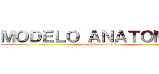 ＭＯＤＥＬＯ ＡＮＡＴＯＭＩＣＯ (del sistema muscular)