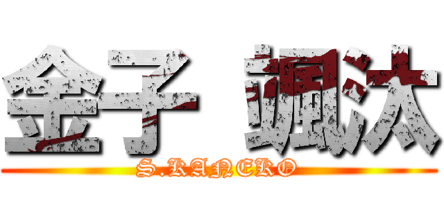 金子 颯汰 (S.KANEKO)