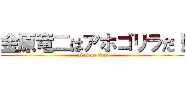 金原竜二はアホゴリラだ！ (attack on titan)