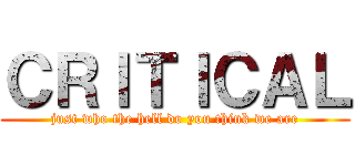 ＣＲＩＴＩＣＡＬ (just who the hell do you think we are)
