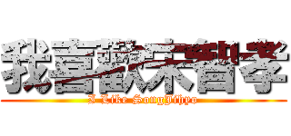 我喜歡宋智孝 (I Like SongJihyo)