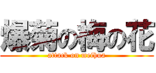 爆菊の梅の花 (attack on meihua)