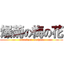 爆菊の梅の花 (attack on meihua)