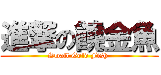 進撃の饒金魚 (Small Gold Fish )
