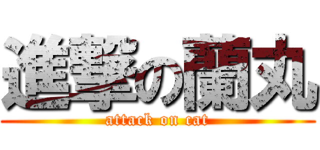 進撃の蘭丸 (attack on cat)