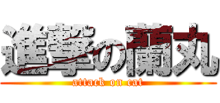 進撃の蘭丸 (attack on cat)