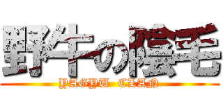 野牛の陰毛 (YAGYU  CLAN)