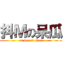 抖Ｍの呆瓜 (xi wen le jian)